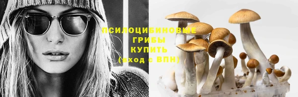 mix Арсеньев