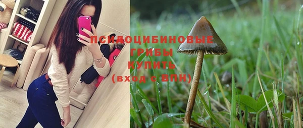 эйфоретик Аркадак