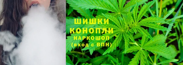 эйфоретик Аркадак