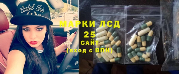 эйфоретик Аркадак